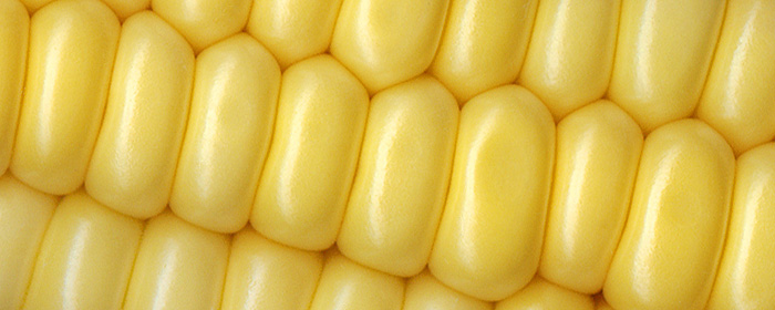 Corn